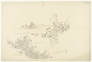 Catching Butterflies