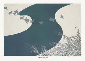 Birds from Momoyogusa