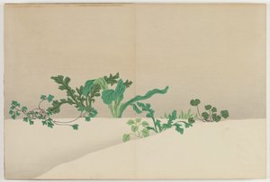 Flowers of a Hundred Worlds: Seven Herbs of Early Spring by Kamisaka Sekka