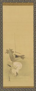 Heron and Lotus