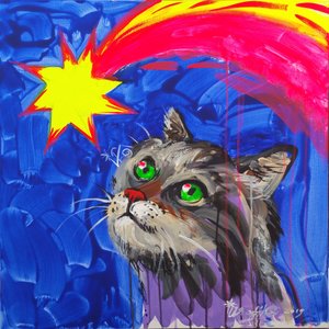 Curious Cat Star Gazing