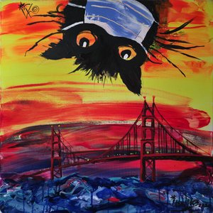 Masked Cat San Francisco Sunset