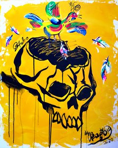 Vibrant Skull Bird