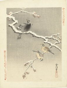 Three Birds on Snowy Branch (Flower and Bird Sketches by Kano Tsunenobu)