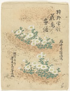 Table of Contents by Kano Tsunenobu