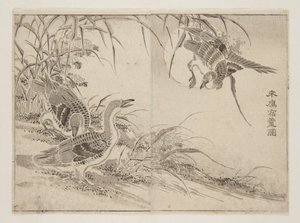 Geese living in Reeds by Kanyosai Kanyosai