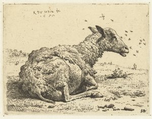 Lying Sheep with Flies by Karel Du Jardin