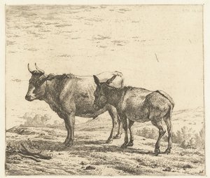 Ox and a Donkey