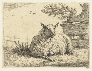 Sheep by a Fence by Karel Du Jardin