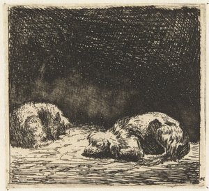 Sleeping Dog and Cat by Karel Du Jardin