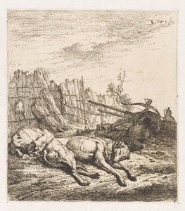 Sleeping hunting dogs (series title: Animals)