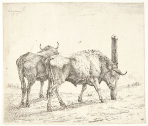 The Two Oxen by Karel Du Jardin