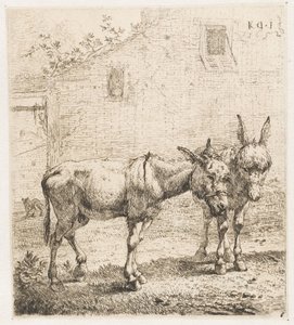 Two Donkeys