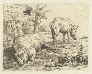 Two Swine by Karel Du Jardin