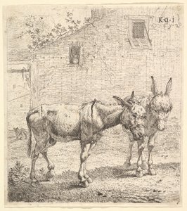Two donkeys standing in a grassy yard, one in profile view facing right and another behind