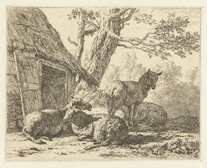 Four Sheep