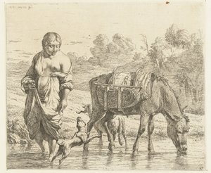 Woman and Donkey Standing in Shallow Water, a Dog Jumping at Her Feet