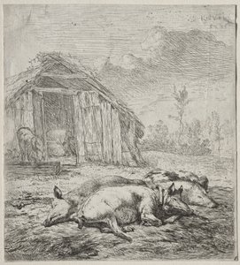 Three Swine Lying in Front of a Sty