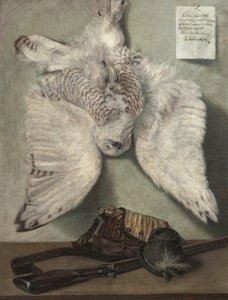 Snowy Owl by Karel Purkyne