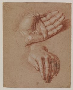 Studies of Two Hands