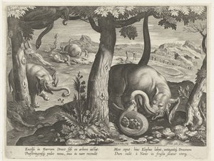 Elephant Fighting with Snake