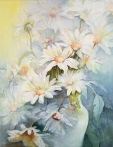 Chrysanthemum, Snowcap