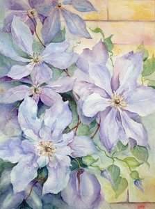 Clematis, The President