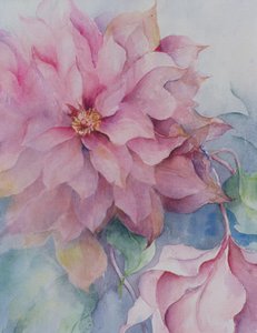 Clematis Vyvyan Penell