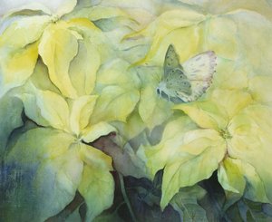 Cream Poinsettia with Butterfly