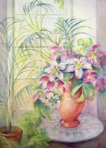 Hellebores on an Italian Table