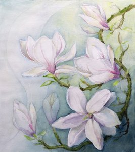 Magnolias