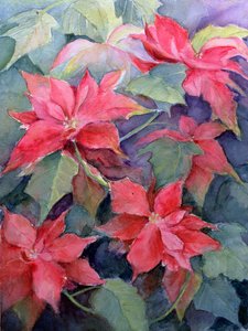 Poinsettia by Karen Armitage
