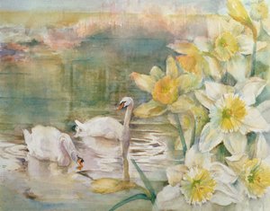 Swans at Hurst