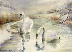 Swans in Winter by Karen Armitage