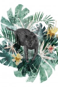 Mysterious Jungle Panther