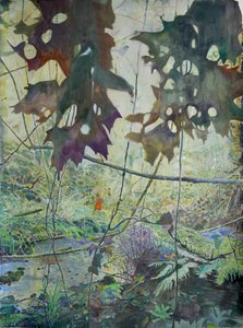 Autumn Woodland Creek