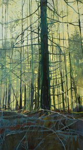 Ethereal Forest Light