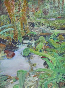 Mossy Forest Stream
