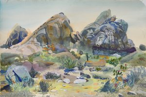 Southwest Desert Rocks