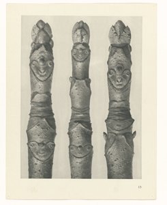 Plant Study (series title: Urformen der Kunst) by Karl Blossfeldt