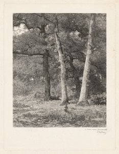 A Forest Clearing by Karl Bodmer