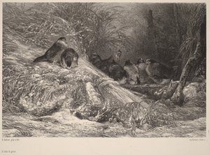 Sheltered from the Frost