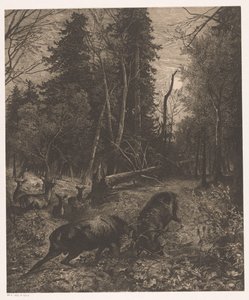 Forest Scene with Two Fighting Deer