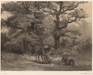 Deer in the Pasture by Karl Bodmer