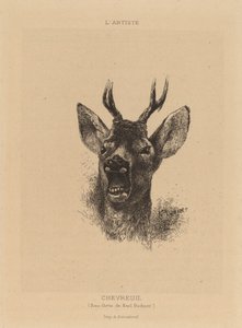 Roe Deer