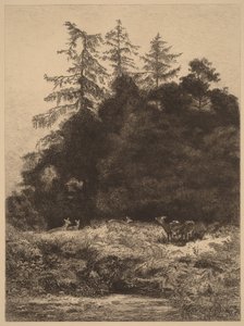 Deer in a Park