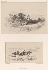 Studies by Karl Bodmer