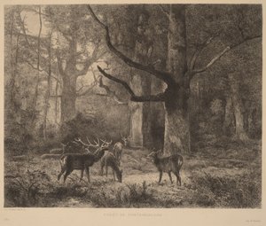 Forest of Fontainebleau by Karl Bodmer
