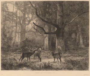 Forest of Fontainebleau by Karl Bodmer