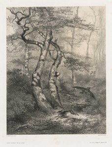 Hare Pursued by a Goshawk